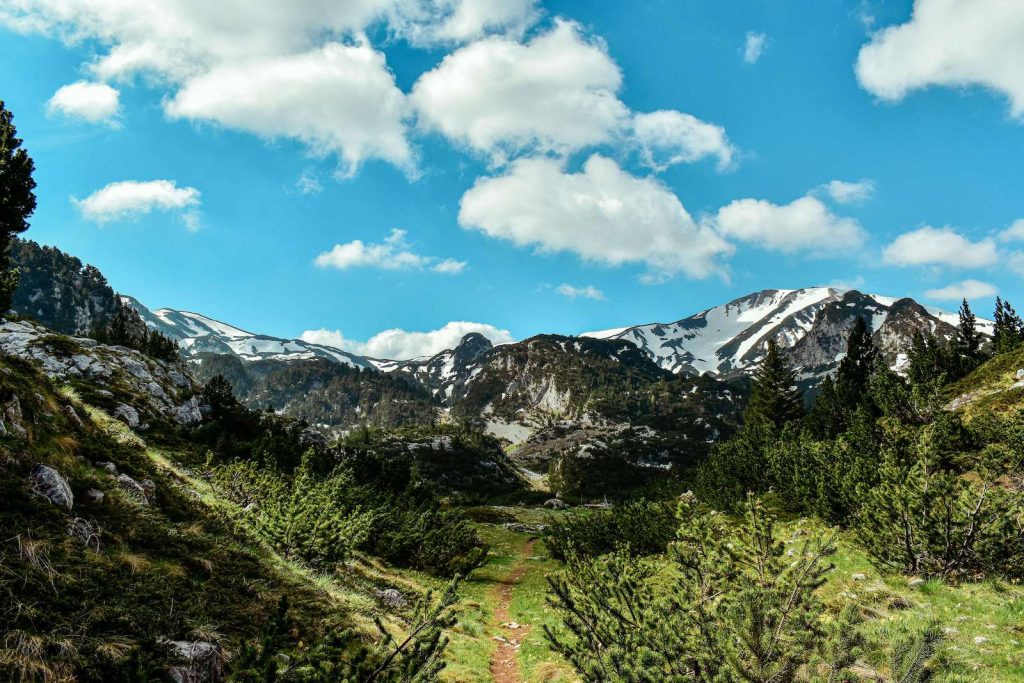 Foresta di Perućica - Parco Nazionale Sutjeska in Bosnia ed erzegovina - Atypical Vibes