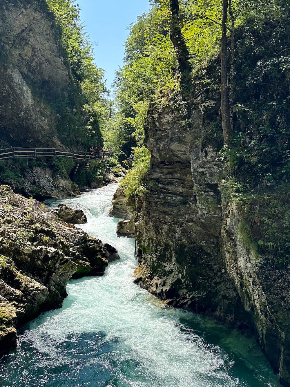 Gole di Vintgar - Trekking slovenia - Vintgar Gorge - Atypical Vibes